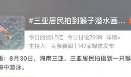猴子视频爆料是真的吗,猴子视频爆料真实性揭秘